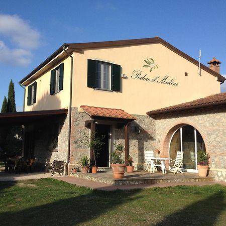 Podere Il Mulino Pieve di Santa Luce Ngoại thất bức ảnh
