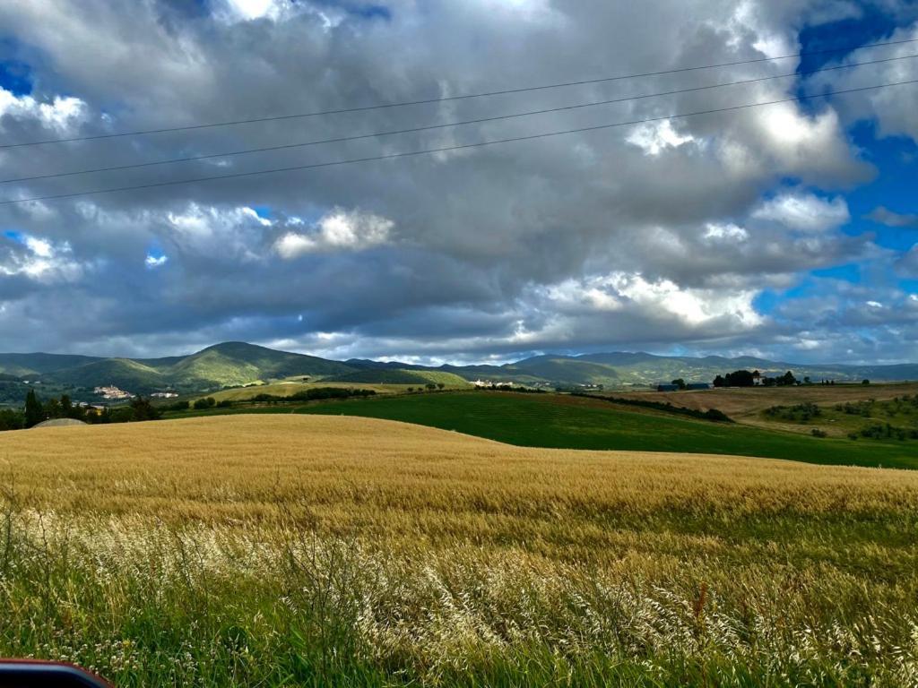 Podere Il Mulino Pieve di Santa Luce Ngoại thất bức ảnh
