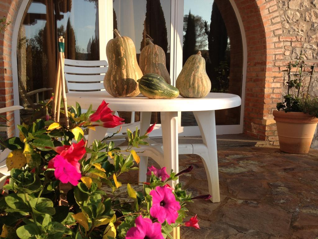 Podere Il Mulino Pieve di Santa Luce Ngoại thất bức ảnh