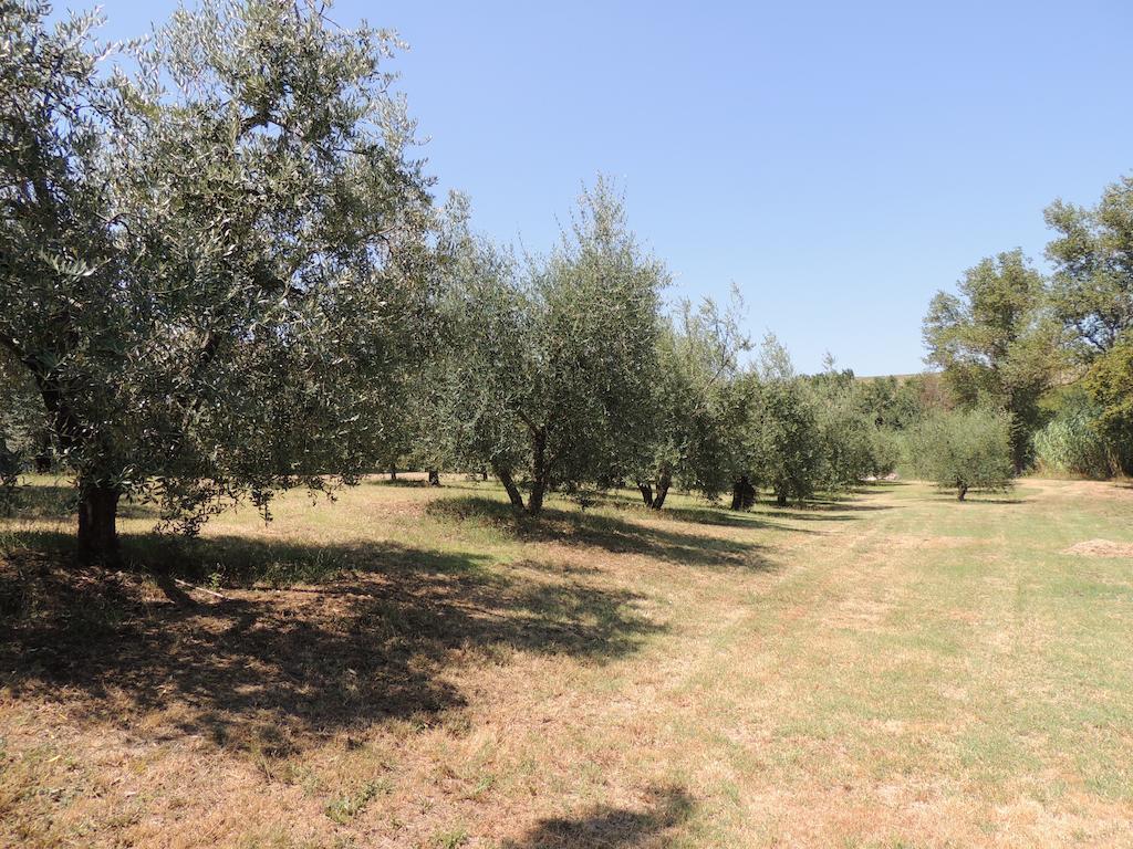 Podere Il Mulino Pieve di Santa Luce Ngoại thất bức ảnh