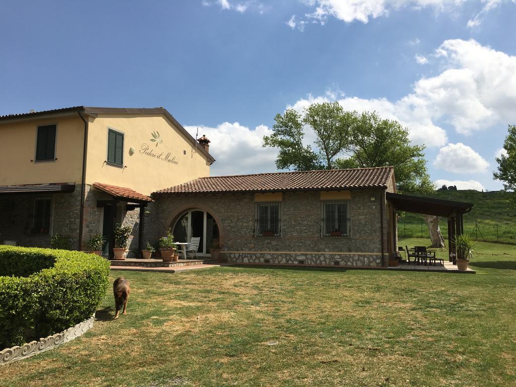 Podere Il Mulino Pieve di Santa Luce Ngoại thất bức ảnh